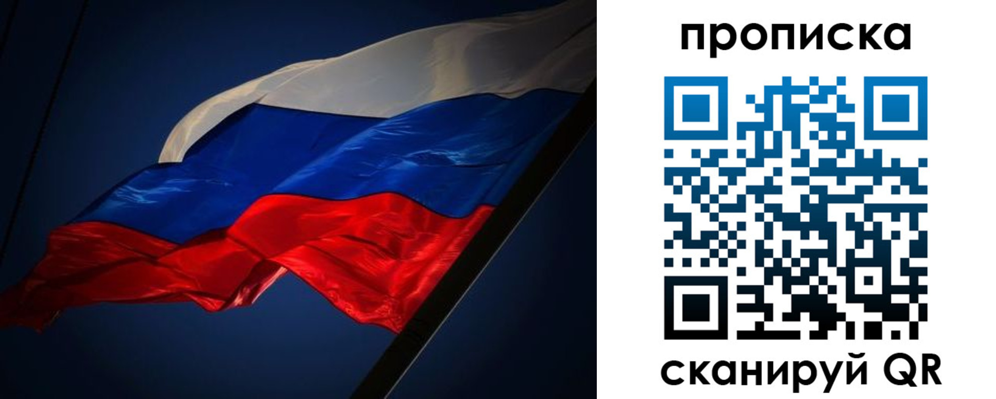 прописка иностранных граждан в Курской области